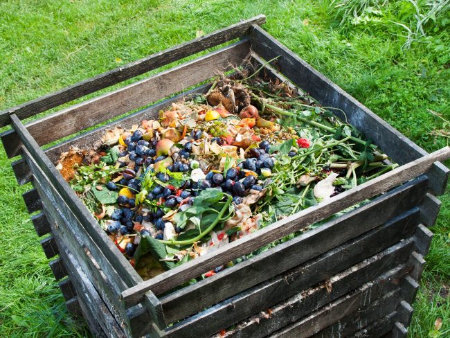 Compost 2