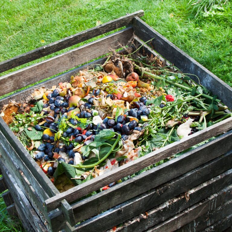 Compost 2