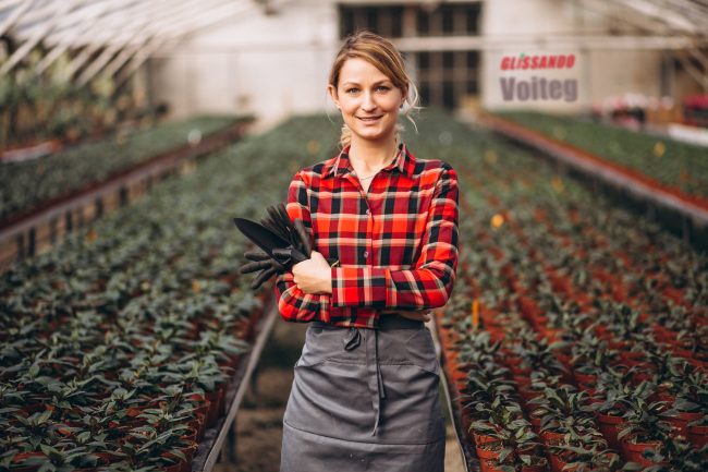 Woman gardner looking after plants in a greenhouse