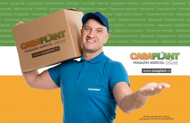 Livrare-cutie-CASAPLANT