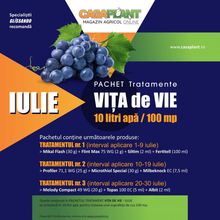 Vita de vie – IULIE