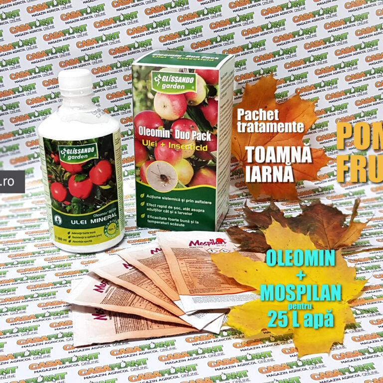 Pachet-TOAMNA-IARNA-25-L TV copy